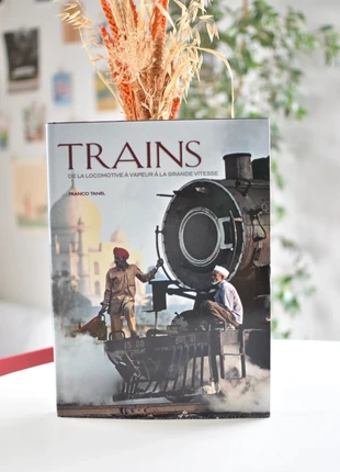 Livre sur les trains de la locomotive à vapeur à la grande vitesse - Franco Tanel, condizioni: Buone, €2.00, €2.80 include la Protezione acquisti