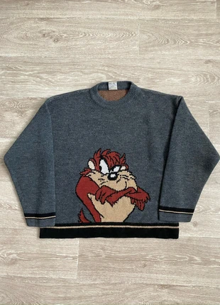 Pull ‘Looney Tunes’ gris motif TAZ, merk: Looney Tunes, staat: Heel goed, maat: XS, € 38,00, € 40,60 inclusief Kopersbescherming