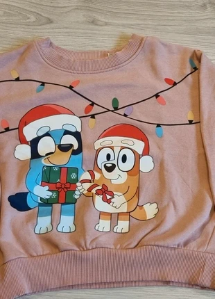 Trui bluey, marque: H&M, état: Très bon état, taille: 6 ans / 116 cm, 5,00 €, 5,95 € Protection acheteurs incluse