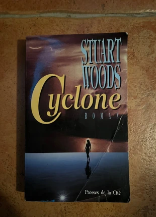 Livre Cyclone de Stuart Woods, estado: Satisfatório, €1.00, €1.75 inclui Proteção do Comprador