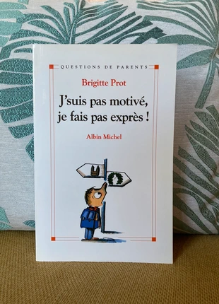 👦 J’suis pas motivé, je fais pas exprès – Conseils pour aider son enfant à retrouver de l’élan, état: Bon état, 4,00 €, 4,90 € Protection acheteurs incluse