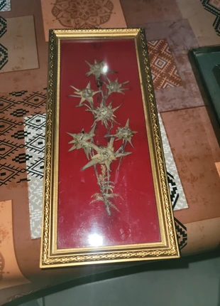 Cadre, condition: Good, €3.00, €3.85 includes Buyer Protection