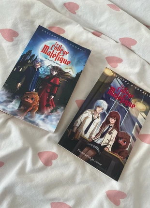 Le collège maléfique tome 1 et 2, staat: Goed, € 10,00, € 11,20 inclusief Kopersbescherming