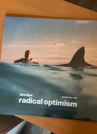 Dua lipa vinyle radical optimism, état: Neuf avec étiquette, 20,00 €, 21,70 € Protection acheteurs incluse