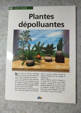 Livre Petit Guide 318 Plantes Dépolluantes, condizioni: Ottime, €2.50, €3.33 include la Protezione acquisti