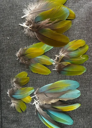 Oorbellen, merk: merkloos, staat: Nieuw zonder prijskaartje, € 10,00, € 11,20 inclusief Kopersbescherming