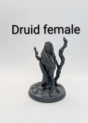 Miniatura Dungeons and dragons DnD Druid Female, marque: D&D, état: Neuf avec étiquette, 2,50 €, 3,33 € Protection acheteurs incluse