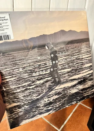 Spiritualized - And Nothing Hurt, état: Neuf sans étiquette, 28,00 €, 30,10 € Protection acheteurs incluse