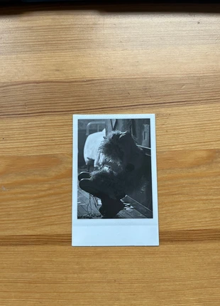 Polaroid Rosé first album, marque: BlackPink, état: Neuf, 4,50 €, 5,43 € Protection acheteurs incluse