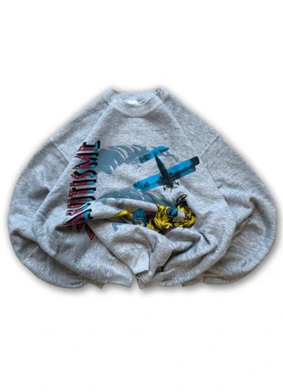 Vintage Parachutisme Graphic Sweatshirt Grey Skydiving Print Size XL, brand: Vintage Dressing, condizioni: Ottime, taglia: XL, €29.00, €31.15 include la Protezione acquisti