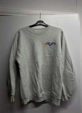 vintage Fruit of the Loom sweatshirt in a classic grey colour, brand: Fruit of the Loom, condition: Very good, size: L, €9.00, €10.15 includes Buyer Protection