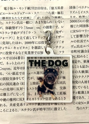 Porte-clés TheDog strap trinket japonais, état: Très bon état, 2,55 €, 3,38 € Protection acheteurs incluse