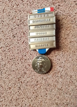 Médaille protection du territoire, état: Très bon état, 50,00 €, 53,20 € Protection acheteurs incluse