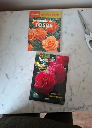 Livre sur le monde des roses rosiers, estado: Muy bueno, 3,00 €, 3,85 € Protección al comprador incluida