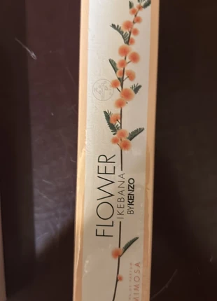 Flower ikebana, marque: Flower, état: Neuf avec étiquette, 60,00 €, 63,70 € Protection acheteurs incluse