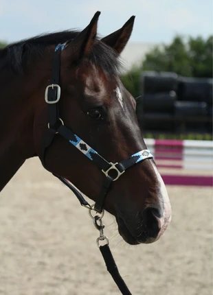 Polo halster licht blauw / crème, merk: friends through horses, staat: Nieuw met prijskaartje, € 29,95, € 32,15 inclusief Kopersbescherming