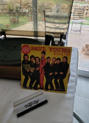 45T(V339)Ballad.Paul Young & The Q Tips-Love Hurts, état: Très bon état, 3,00 €, 3,85 € Protection acheteurs (Pro) incluse