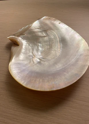 Coquille en nacre perlière, marque: pas de marque, état: Très bon état, 20,00 €, 21,70 € Protection acheteurs incluse