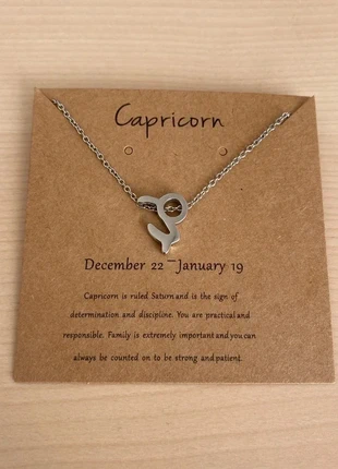 Collier pendentif zodiaque en acier inoxydable, chaîne argentée, signe capricorne, idée cadeau, condition: Very good, €11.00, €12.25 includes Buyer Protection Pro