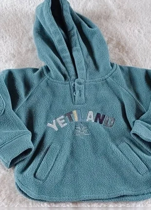 pull à capuche, U tout petits, 9mois, marca: Tout Petits, estado: Muito bom, tamanho: 6-9 meses / 68 cm, €2.00, €2.80 inclui Proteção do Comprador