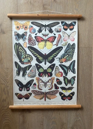 Vintage butterfly poster, merk: Vintage Boutique, staat: Heel goed, € 10,00, € 11,20 inclusief Kopersbescherming