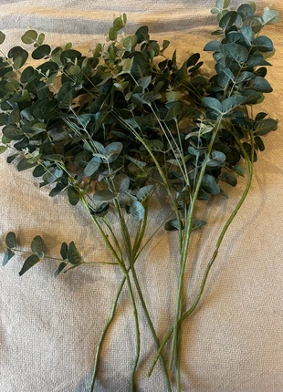 6 x Eucalyptus Stems, condition: New without tags, £10.00, £11.20 includes Buyer Protection