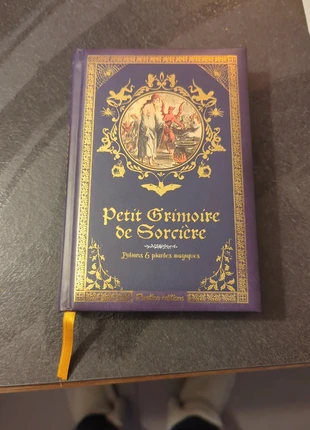 Petit grimoire de sorcière, état: Neuf sans étiquette, 9,00 €, 10,15 € Protection acheteurs incluse
