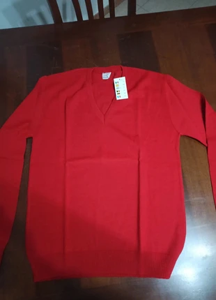 Pullover uomo manica lunga misura 50, marque: Made In Italy, état: Neuf avec étiquette, taille: L / 40 / 12, 28,00 €, 30,10 € Protection acheteurs incluse