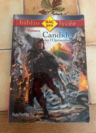 Livre « Candide ou l’Optimisme », état: Neuf sans étiquette, 2,50 €, 3,33 € Protection acheteurs incluse