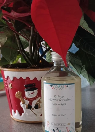 Recharge de parfum pour diffuseur à bâtonnets "sapin de Noël" Le père Pelletier, merk: LE PÈRE PELLETIER, staat: Nieuw, € 8,00, € 9,10 inclusief Kopersbescherming