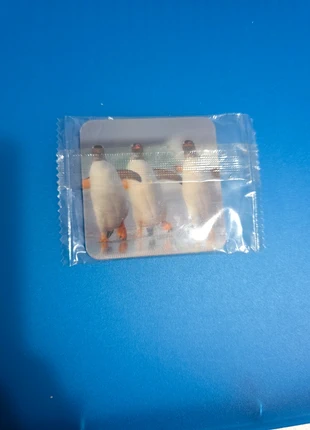 Card lenticolari Comedy Wild Life, marque: Salati Preziosi, état: Neuf avec étiquette, 1,00 €, 1,75 € Protection acheteurs incluse