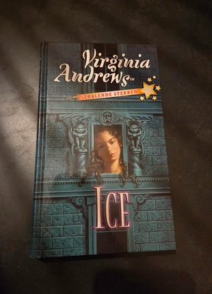 Ice.., staat: Heel goed, € 2,00, € 2,80 inclusief Kopersbescherming