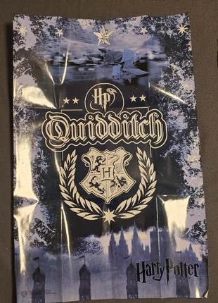 Harry Potter Quidditch poster, merk: Harry Potter, staat: Heel goed, € 3,00, € 3,85 inclusief Kopersbescherming