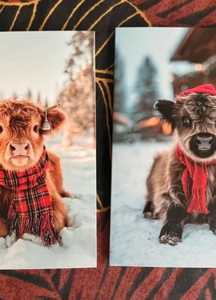 SALE! Set van 2 dubbele wenskaarten 'Hooglanders' inclusief enveloppen, staat: Nieuw met prijskaartje, € 1,00, € 1,75 inclusief Kopersbescherming