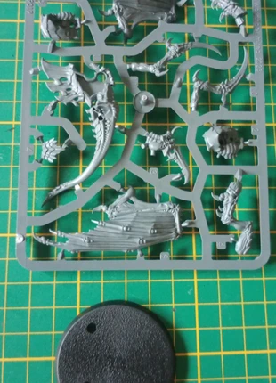 Winged tyranid Prime, marque: Games Workshop, état: Neuf sans étiquette, 4,50 €, 5,43 € Protection acheteurs (Pro) incluse