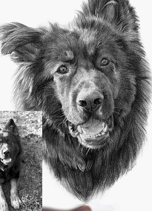 Portraits d’animaux personnalisés au crayon, brand: Original, condizioni: Novità, €30.00, €32.20 include la Protezione acquisti