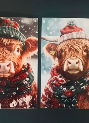 SALE! Set van 2 dubbele wenskaarten 'Hooglanders' inclusief enveloppen, staat: Nieuw met prijskaartje, € 1,00, € 1,75 inclusief Kopersbescherming