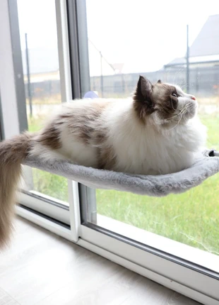 Hamac de fenêtre pour Chats - Neuf 🐾, marke: autres, zustand: Neu, mit Etikett, 15,00 €, 16,45 € inklusive Vinted-Käuferschutz