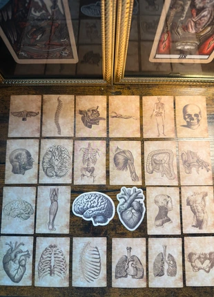 🌙 Lot stickers cabinet de curiosités Anatomie, zustand: Sehr gut, 3,80 €, 4,69 € inklusive Vinted-Käuferschutz
