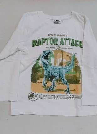 Camiseta blanca infantil Jurassic World, marca: Jurassic World, estado: Muy bueno, tamaño: 6 años / 116 cm, 3,00 €, 3,15 € Protección al comprador incluida