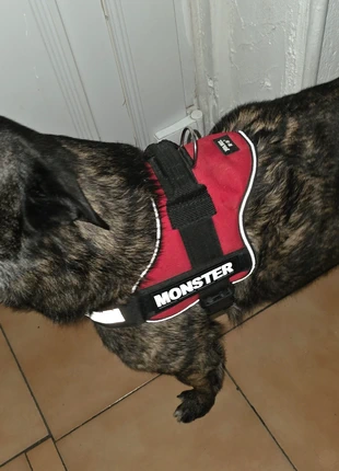Julius-K9 Powerharness Taille 0 Rouge, marca: Julius, estado: Muito bom, tamanho: Tamanho único, €19.95, €21.65 inclui Proteção do Comprador