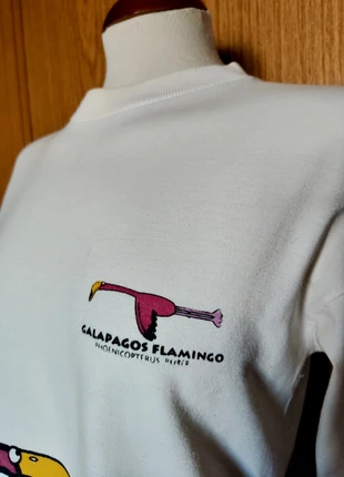 🌴 Sudadera chico Islas Galápagos 🌴, marca: GALAPAGOS, estado: Muy bueno, tamaño: S, 11,00 €, 12,25 € Protección al comprador incluida