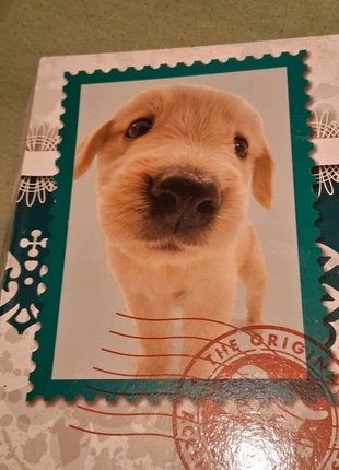 Album photo, estado: Muito bom, €4.00, €4.90 inclui Proteção do Comprador