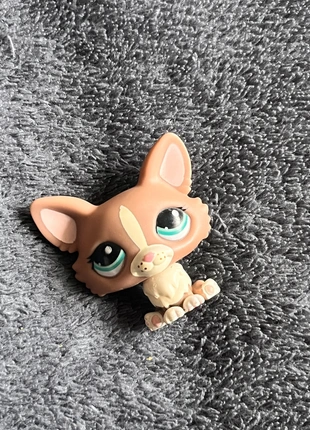 Littlest Pet Shop Corgi, brand: Hasbro, condition: Very good, €4.00, €4.90 includes Buyer Protection