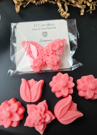 Cialde soia profumate, merk: Cera, staat: Nieuw met prijskaartje, € 3,00, € 3,85 inclusief Kopersbescherming