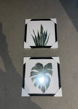 Flower pictures framed x 2, brand: Flower, condition: New, €4.00, €4.90 includes Buyer Protection