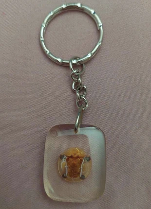 Porte-clefs véritable insecte, brand: Curiosité, condition: New without tags, €6.00, €7.00 includes Buyer Protection