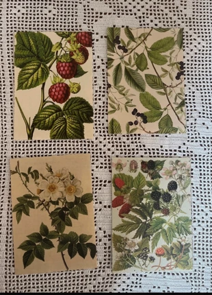 🍓 Set 4 Stampe Botaniche Vintage • Frutti & Fiori • Decorazione Naturale, brand: Naturale, condizioni: Nuovo senza cartellino, €2.00, €2.80 include la Protezione acquisti