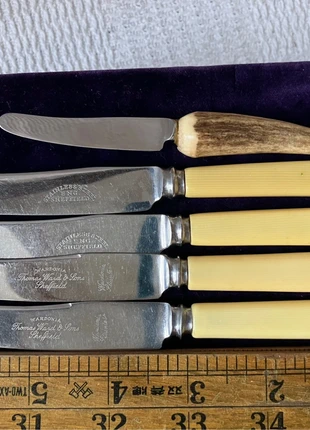 Vintage butter knives, two sets of two+ Horn handle fruit knife, brand: Thomas Ward and Sons stainless steel England, condition: Very good, £10.00, £11.20 includes Buyer Protection