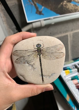 Sasso dipinto libellula, merk: Mano, staat: Nieuw zonder prijskaartje, € 4,00, € 4,90 inclusief Kopersbescherming